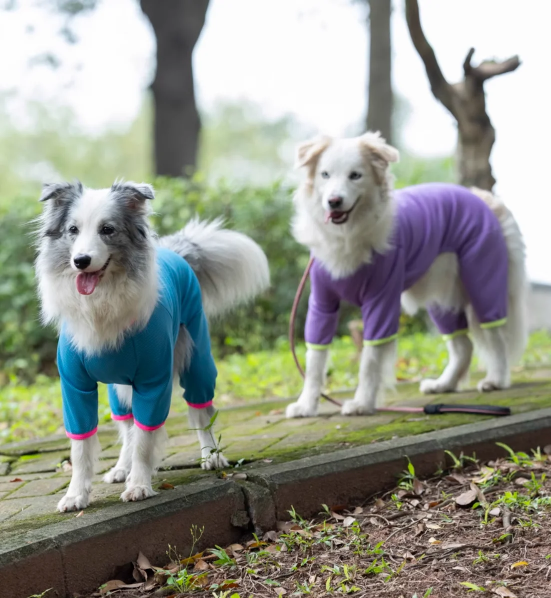 Summer Outfit Large Dog Jumpsuit for Schnauzer Corgi Husky Labrador Golden Retriever Dobermann Bull Terrier - Breathable Dog Clo