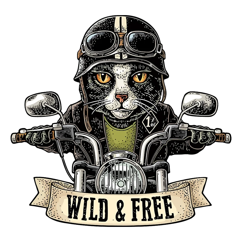 Cat Rider Cat Stickers Funny Motorcycle Body Styling Decoration Reflective Non Fading Decals for Kawasaki NINJA H2R Z800 Z1000
