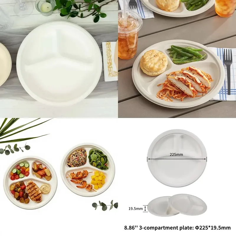 Modern Party 9 Inch Three-compartment Plate Bagasse Plate Disposable Cutlery Compostable Food Tray