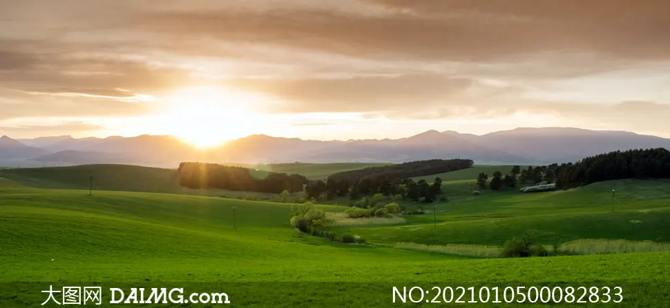 

Metal 380 To 540 Motor Adapter 3650 Motor Converter For Xray Serpent Xpress Ptg Lracing 3racing Sakura Rc Buggy Upgrade Part