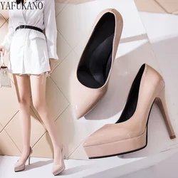 10cm/12cm Nude Sexy High Heels Stiletto Pointed Toe Patent Leather Single Shoes Party Catwalk Platform Ladies Pumps Size 33-39