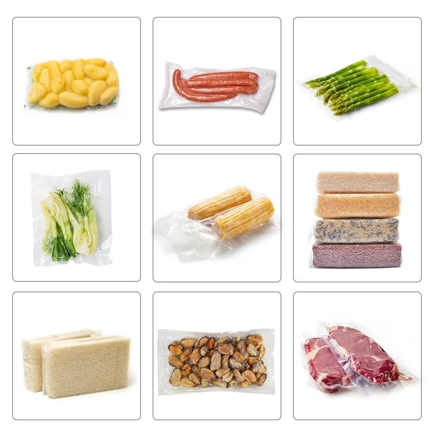 DZ-600/2SB Mesin Pengemas Penyegel Makanan Vakum Komersial Ruang Ganda Otomatis untuk Makanan