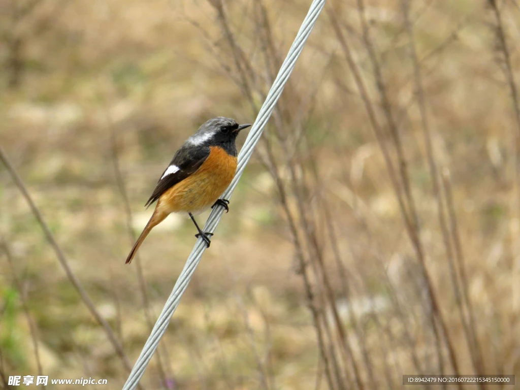 

4PCSBeadlock Wheel Rims Aluminum Alloy for 1:10 RC Crawler SCX10 90046 SCX10 III AXI03007 CC01 D90 D110 1.9 Crawler Tires