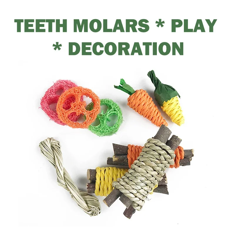 Hamster Tooth Cleaning Toy Guinea Chinchillas Small Animal Chew Toys Bundle For Bunny Molar Grinding Toys Rabbit Accessories