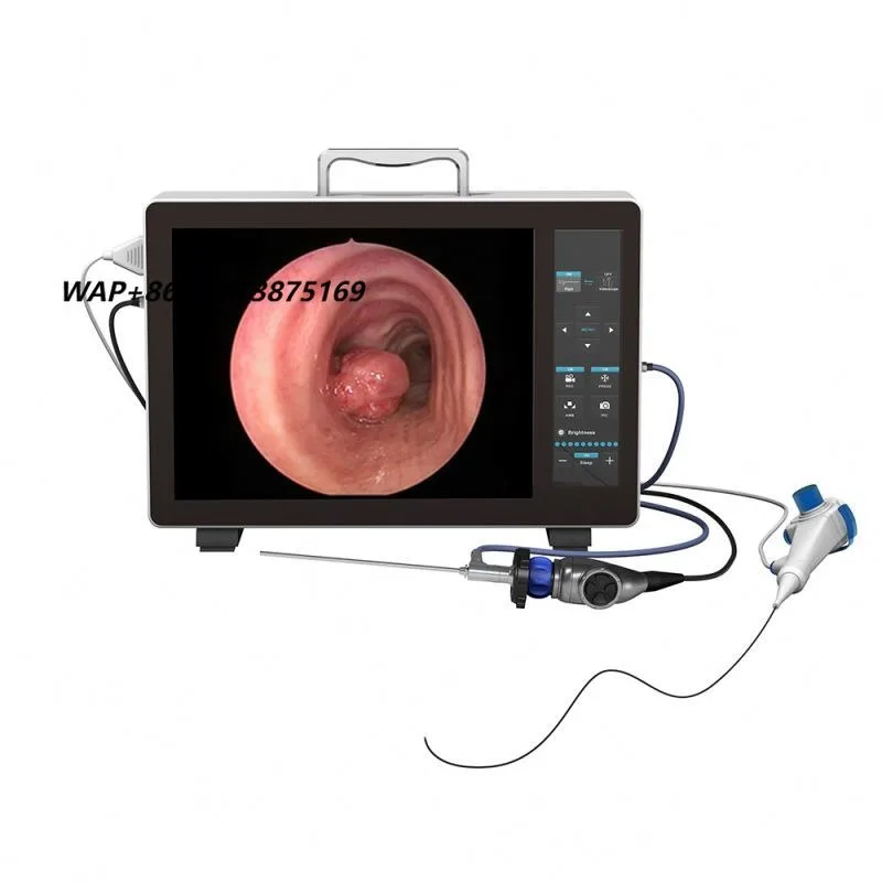 Veterinary dual-purpose endoscope system, endoscopic forceps, video laryngoscope, endoscopic cystoscope tower system