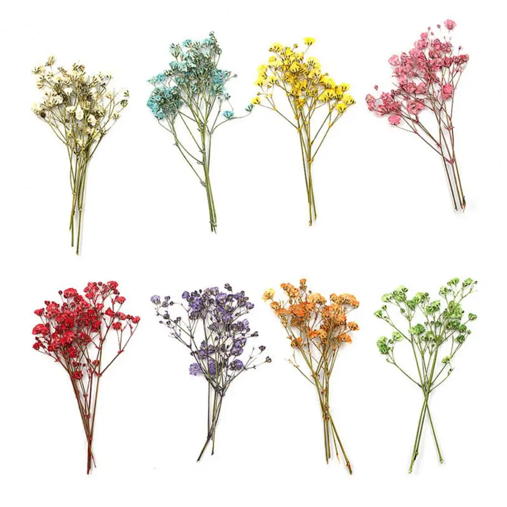 Charming  Dried Flower Bouquets Porable Dried Gypsophila Wedding Bridal Bouquet Vivid Colorful Baby Breath Flowers for Home