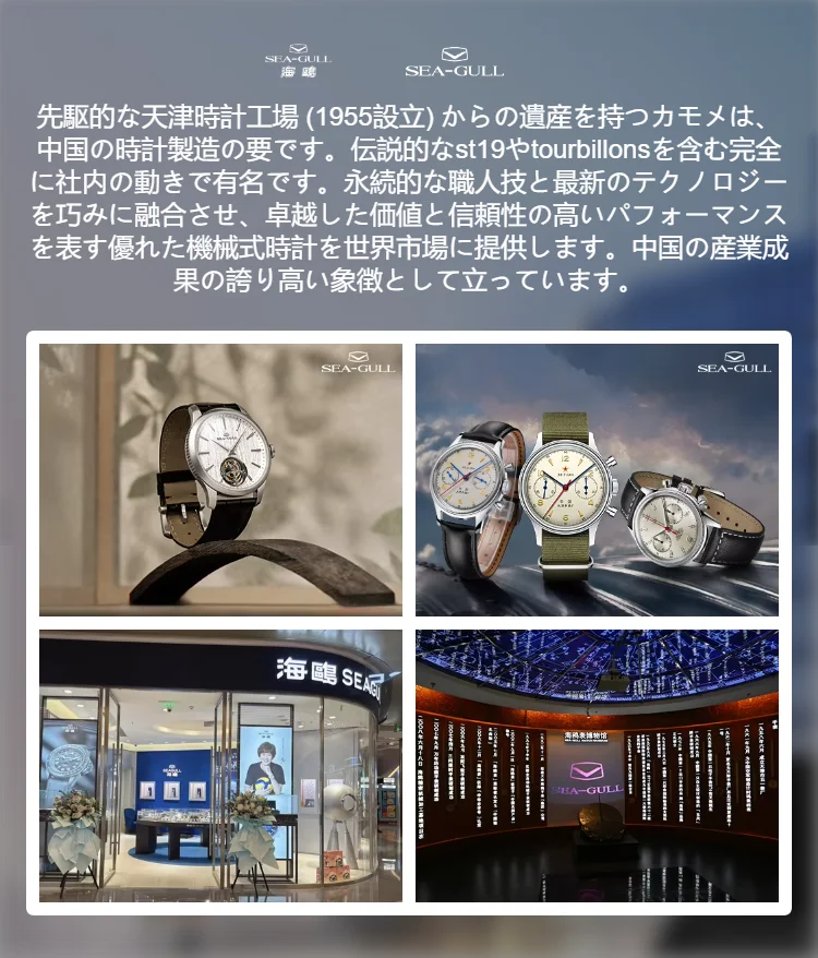 Seagull-男性用メカニカル腕時計,高級ヴィンテージミリタリーウォッチ