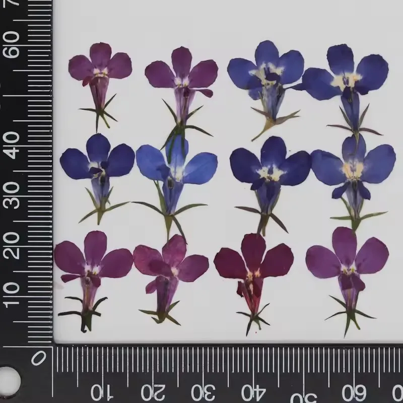 120 Stück/1,5 cm, natürliche kleine Blumen-Tropfen-Kleberaufkleber für Handyhüllen, Lesezeichen, Fotorahmen, Dekoration, Schönheits- und Nagelverzierungsmaterial, Herbstdeko – Detail 1