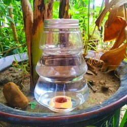 Automatic Flower Watering Machine Household Dripping Facilities Succulent Shower Lazy Plant Watering Magic