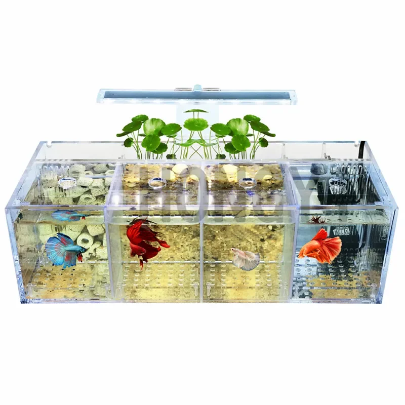 HONGYI 1 piece acrylic bettas cylinder isolated fish tank tilted water pump breeding cylinder baby betta tank guppy breeding