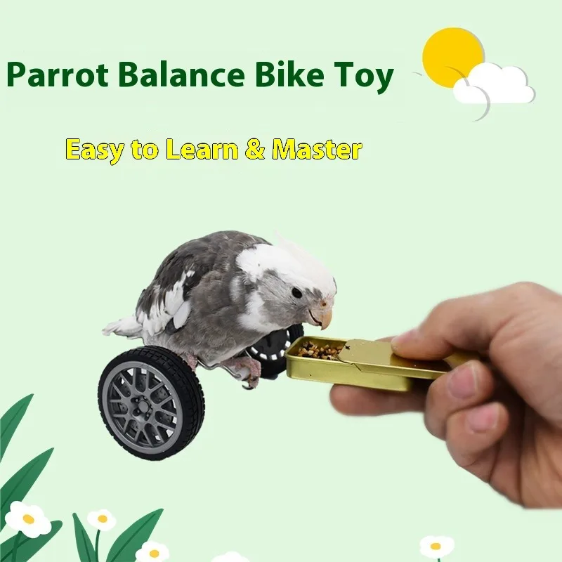 ‌Cool ‌Bird Toy Balance Board S M Parrot Training Toy Roller Skate Skill Development Interactive Entertainment Cage Accessory