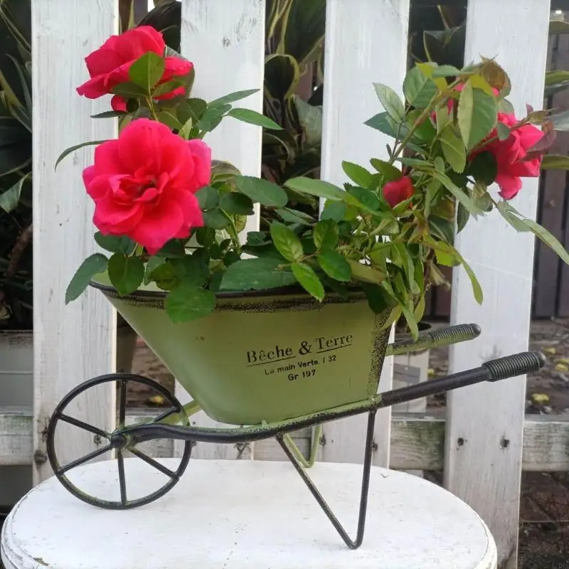 Iron Wheelbarrow Yard Ornament Vintage Small Planter Flower Plant Pots for Garden Lover and Home Decoration Enthusiasts