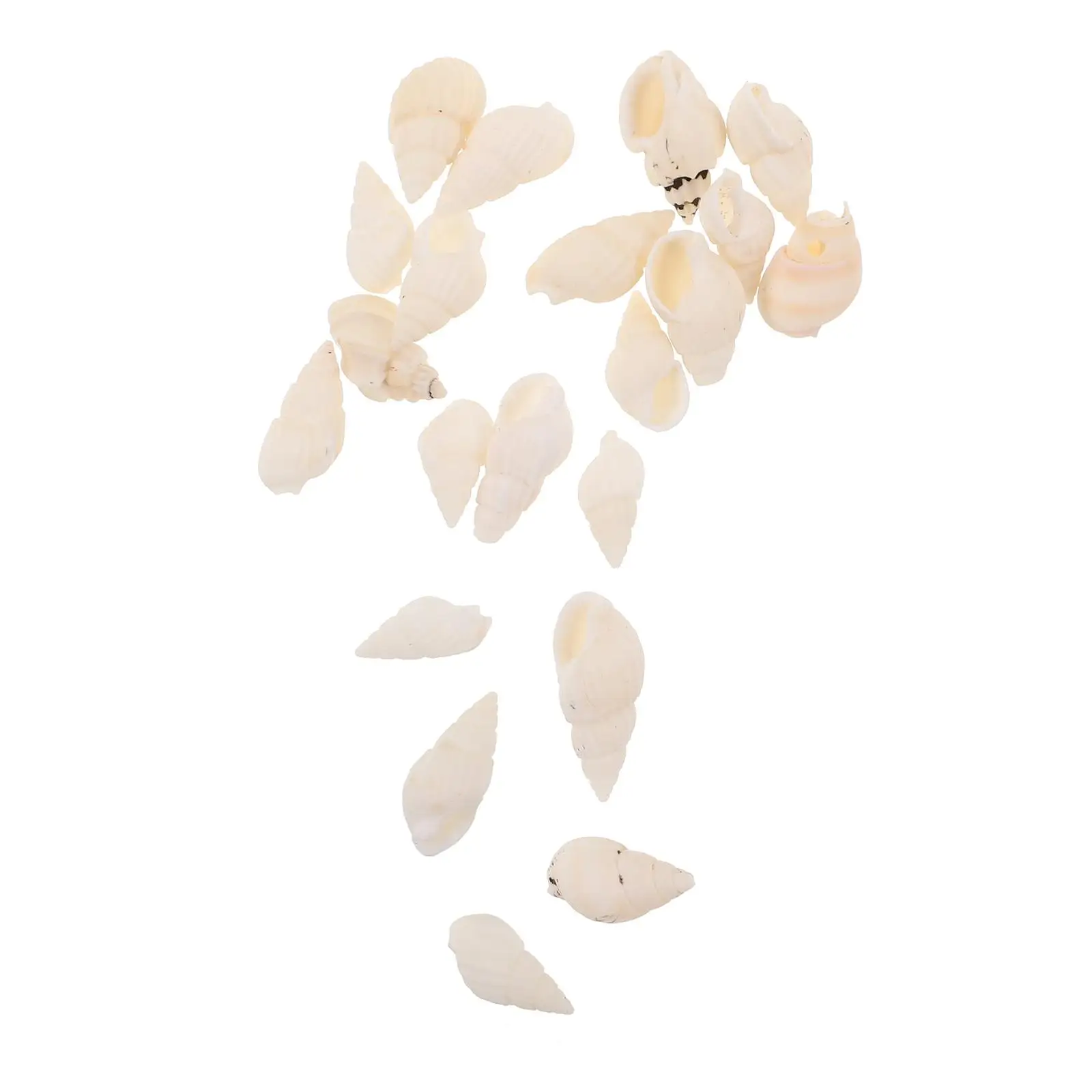

20 Pcs White Spiral Seashell Beads Natural Shell Craft Supplies Aromatherapy Rice Snail Beach Diy Decoration Ocean Themed