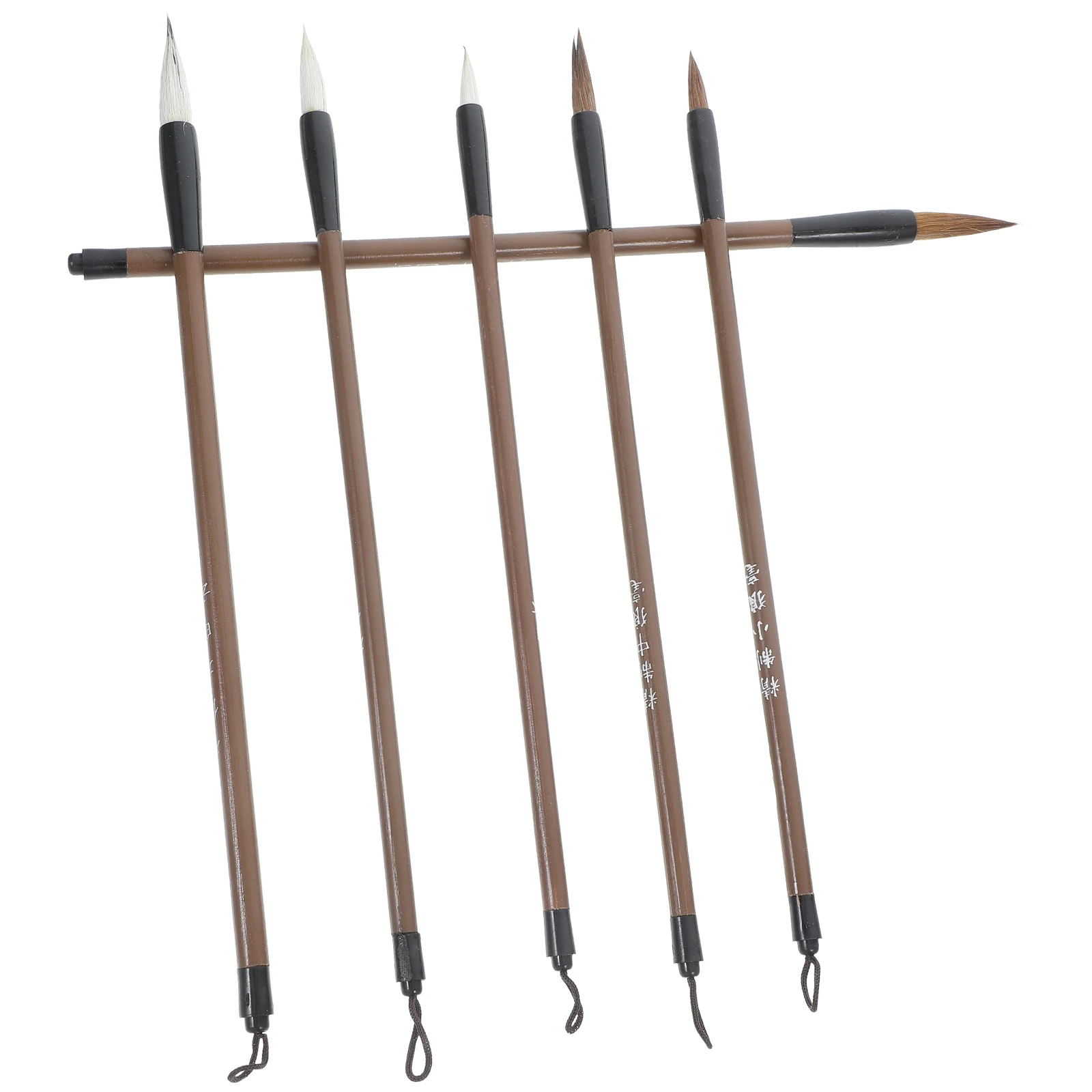 6 Pcs Calligraphy Brush Set for Students Practice Easy Drying Pen Chinese Watercolor Painting Writing Stationery Gift Home