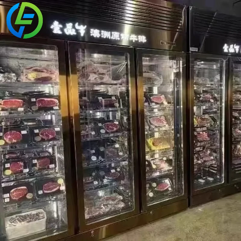 Customize Best Selling Commercial Kitchen Equipment Beef Aged Curing Dry Aging Ager Refrigerator Cabinet Dry Age Fridge