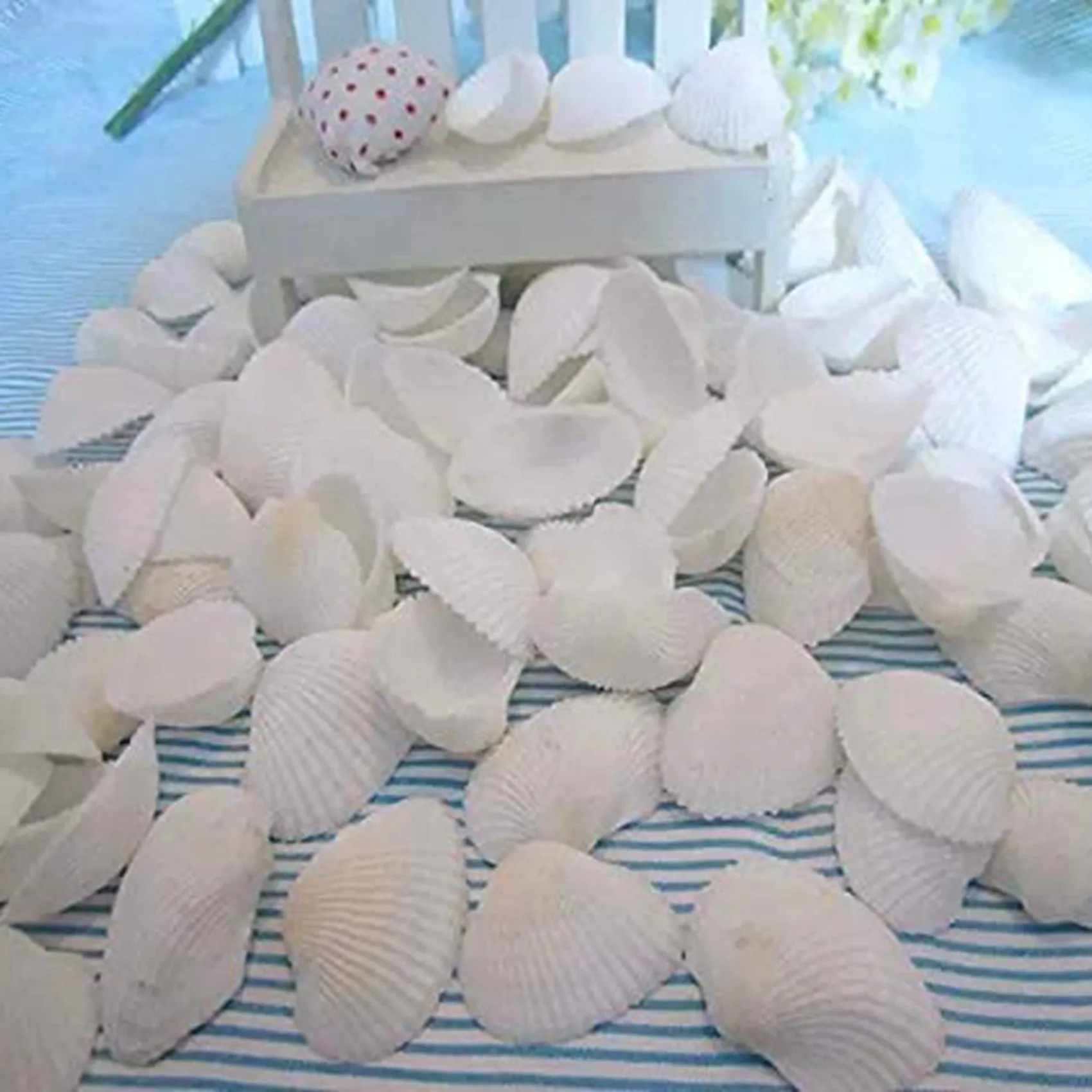 SDFC-125Pcs Natural Scallop Shell, Special For Handmade DIY Creative Production Handmade DIY Creative Coloring Shell