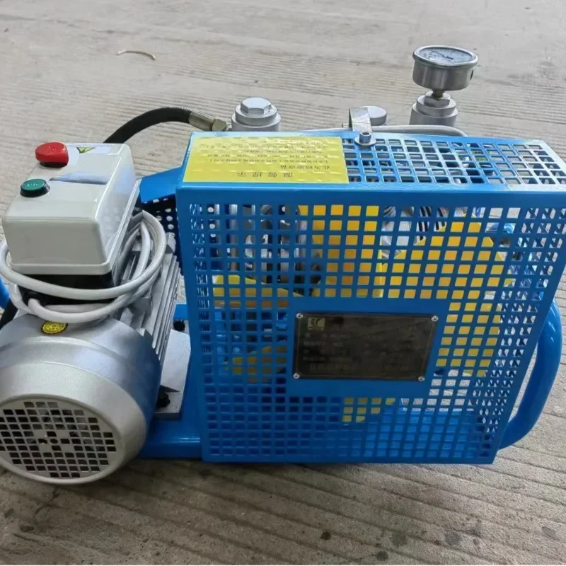 Bestselling Air Respirator/Resuscitator Air Pump Diving Respirator Compressor Wild Ferry AH100-E Portable Air Pump