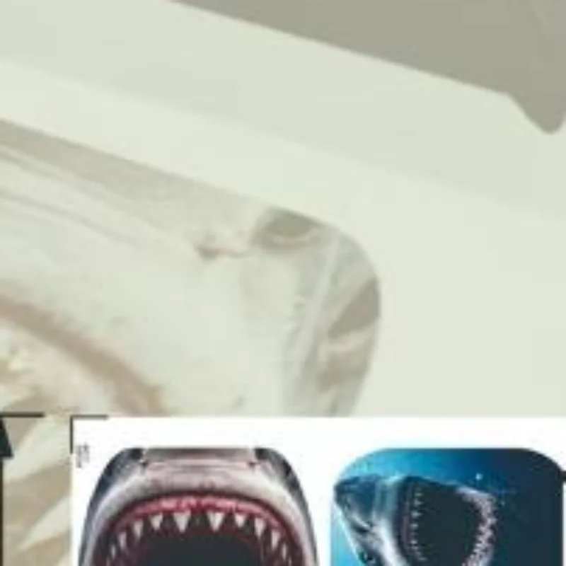 Horror Shark Toilet Sticker Waterproof Bathroom Wall Sticker Toilet Lid Sticker Self-Adhesive Removable Decals Home Decor