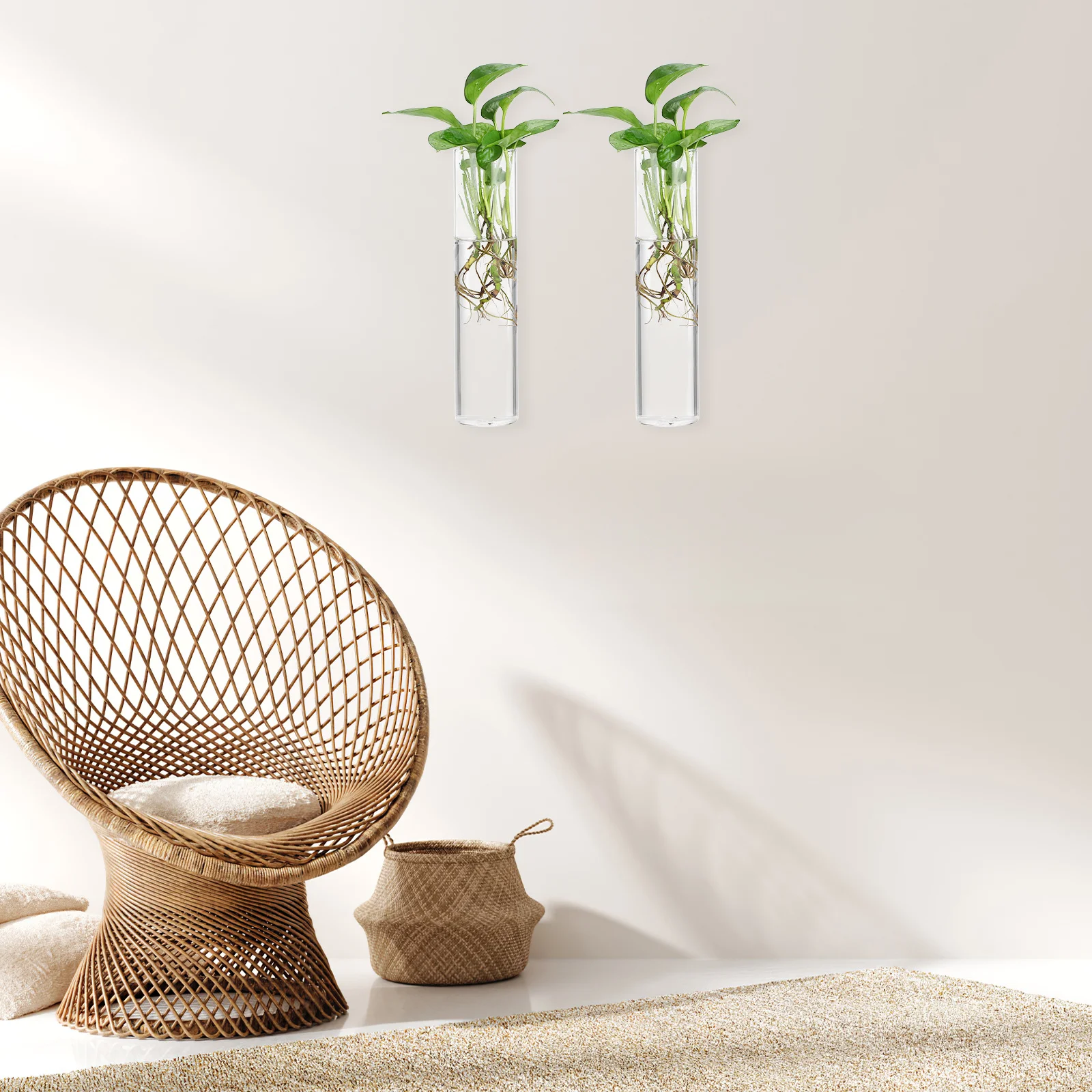 

2Pcs Cylinder Glass Wall Vase Minimalist Hanging Clear Indoor Plant Holders Modern Wall Mounted Propagation Station