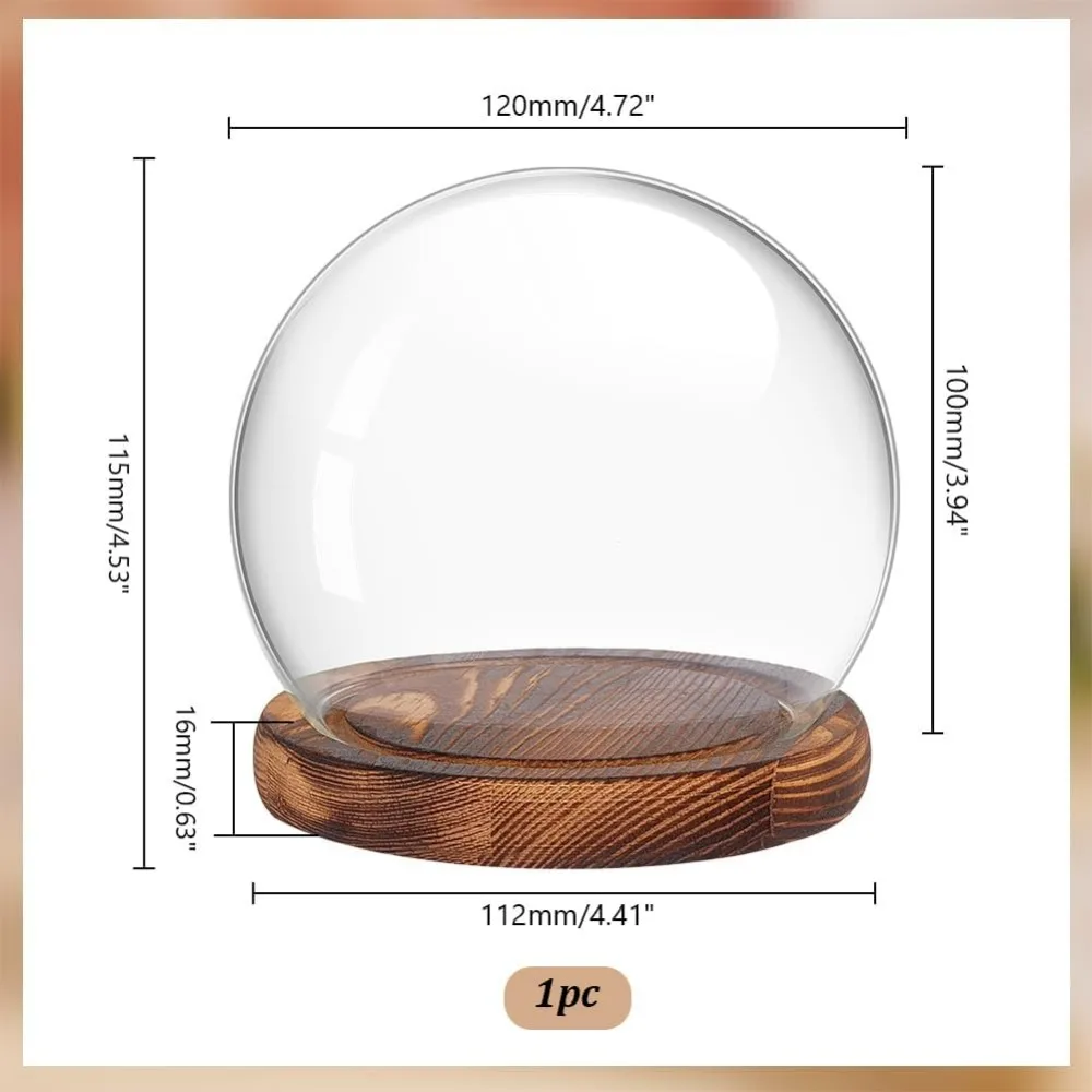 Glass Cloche Dome Clear Globe Display Dome with Wood Base Decorative Glass Display Case for Plant Flower Stone Models Butterfly