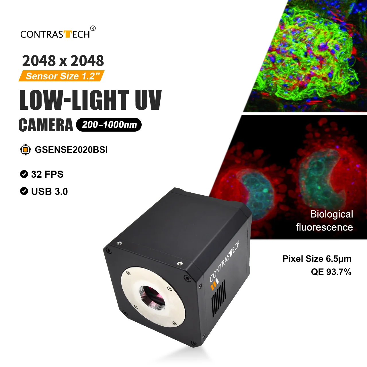 4MP 2048x2048 32fps UV 200-1100nm GSENSE2020BSI USB3.0 UV-Visible Fluorescence Imaging for Dye Blood Contaminants Biological