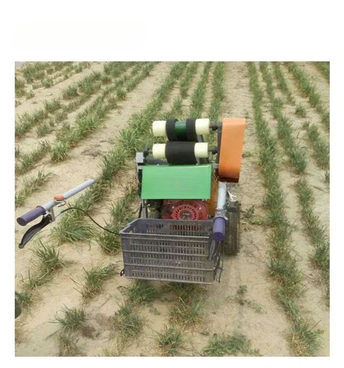 professional oregano coriander harvesting machine/ energy saving sage rosemary harvester machine/thyme Lettuce harvester price