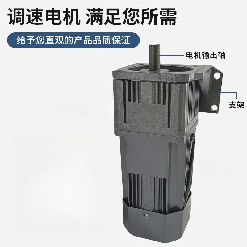 Single Phase 220V Variable Speed Gear Motor for Marinating Machine Customizable Speed Reducer