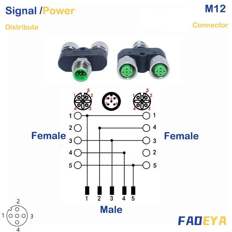 M12 Connector, Y connector , Male to 2 Female , 5Pins  2 Signal type