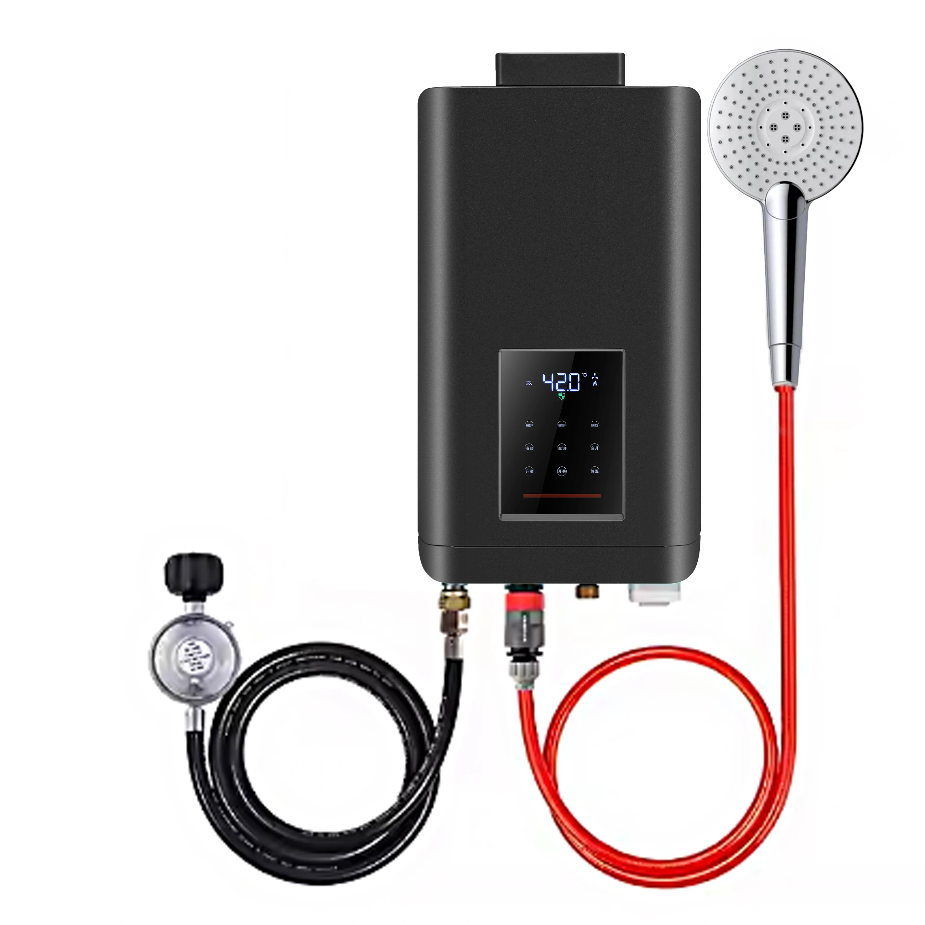 Hot-Selling 12L-22L Liquid Propane Gas Tankless Instant Water Heater With High Efficiency Burner Forced Exhaust For RV Home Use
