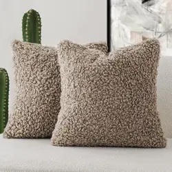 2 Pieces Teddy Faux Fur Throw Pillow Cover Decorative Sherpa Pillow Fuzzy Sheepskin Accent Cushion Case Soft Fleece Pillowcases