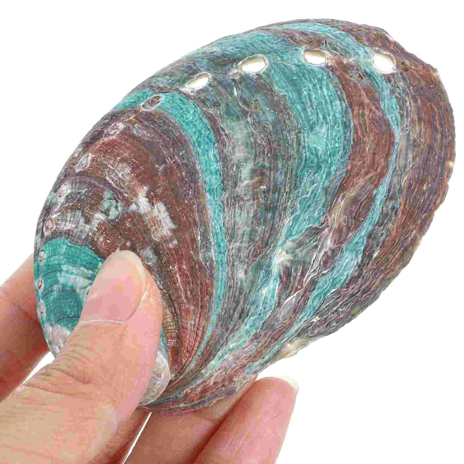 3 Pcs Natural Shell Abalone Decorative Ornaments Offering Holder Seashells Empty Smudge Bowl Smudging Kit Sink Tray