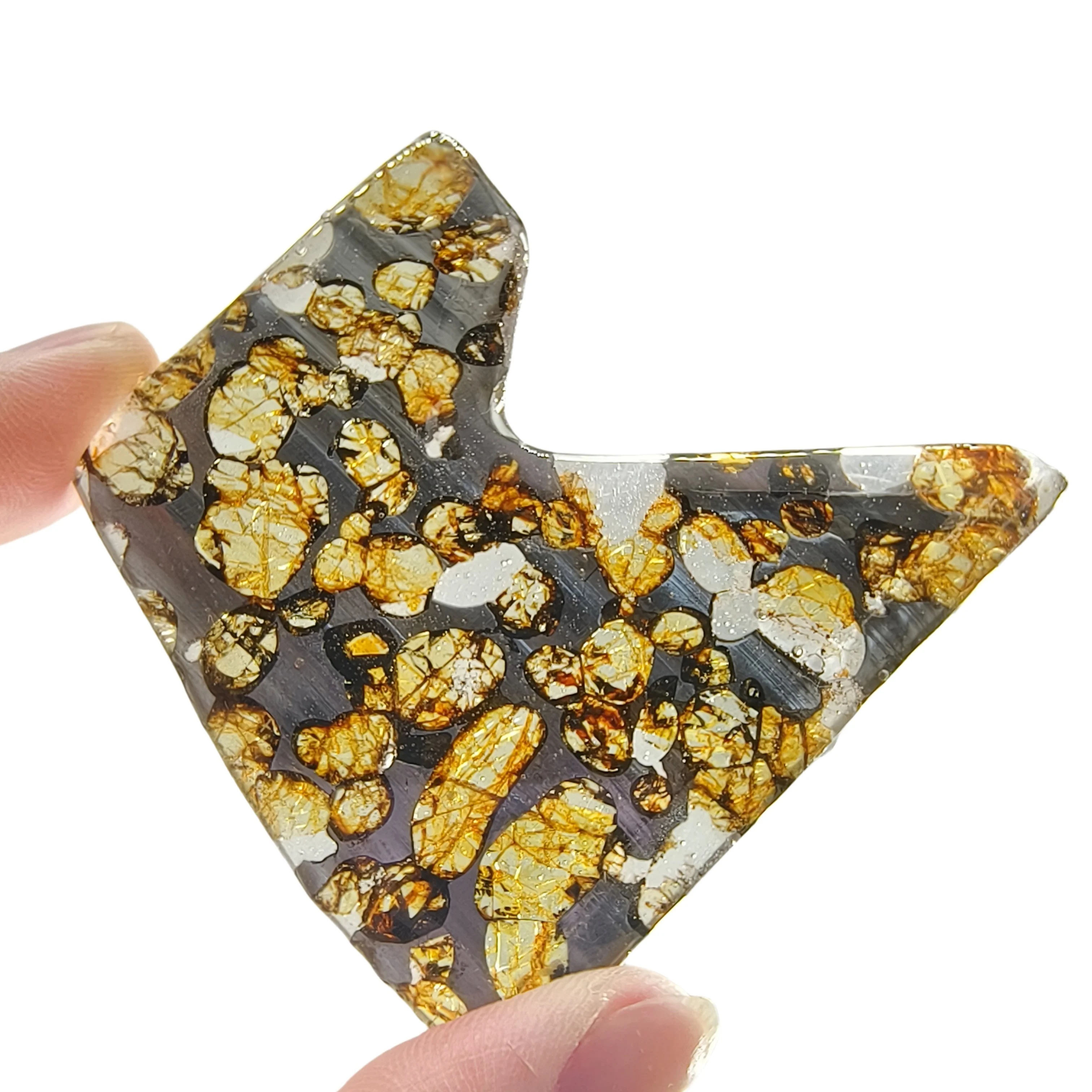 

13.9g Seymchan Pallasite Olive Meteorite Slices Specimen Natural Meteorite Material Sliced Collection -QA794