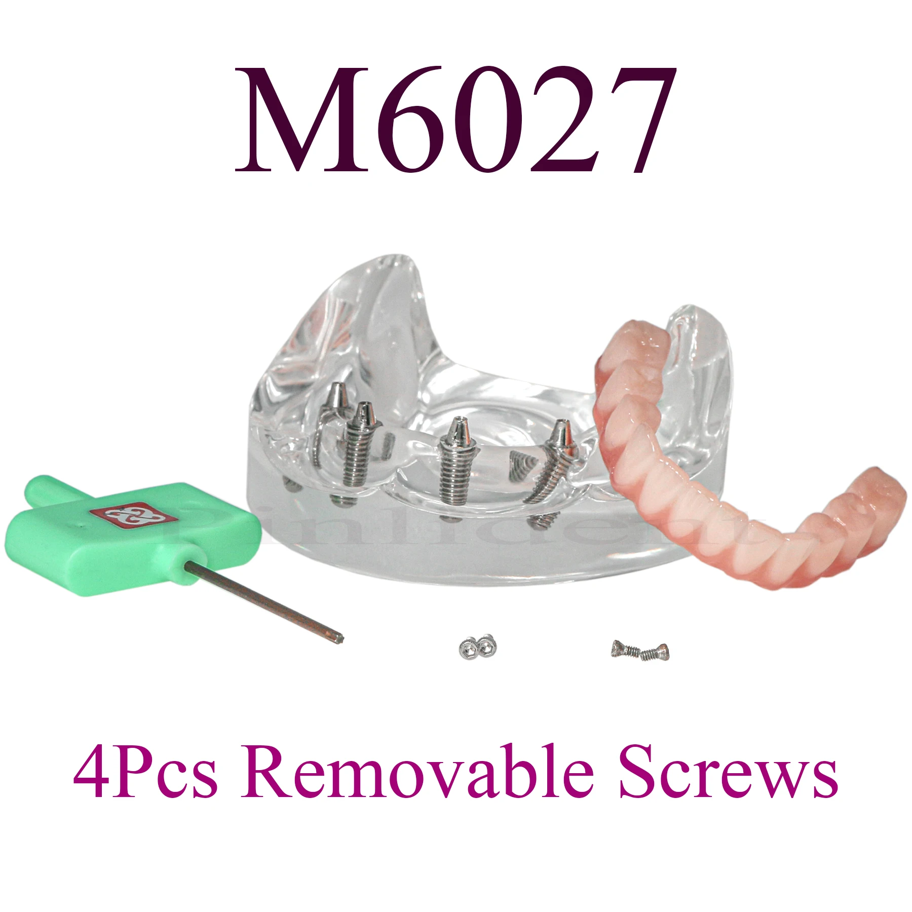 Mandibular Dental Implant Teeth Model M6027 Transparent Lower Jaw Type All on 4 Overdenture Modle With 4 Removable Screws