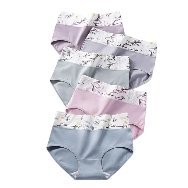 Bragas de algodón para mujer, ropa interior de cintura alta, transpirable, con estampado bonito, de talla grande, 5 piezas