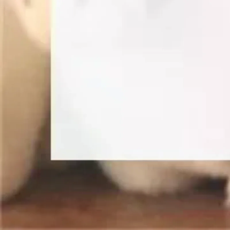 Bonito ano chinês do cavalo pônei boneca de pelúcia mascote brinquedo de pelúcia chaveiro pingente cordão saco pendurar charme ano novo lembrança presente