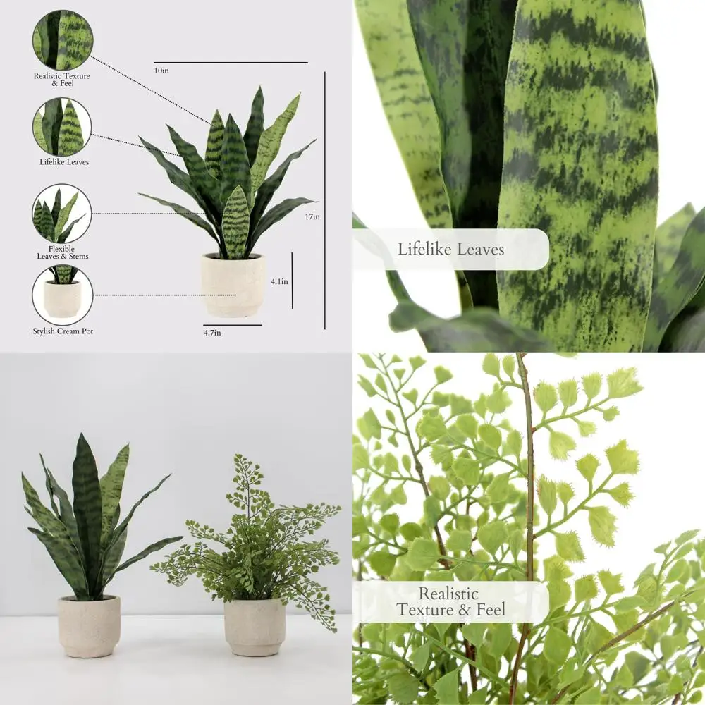 

Набор из 2-х искусственных змеиных растений и папоротника, реалистичные комнатные растения премиум-класса, повышающие эстетика, реалистичный вид, серая кашпо в комплекте