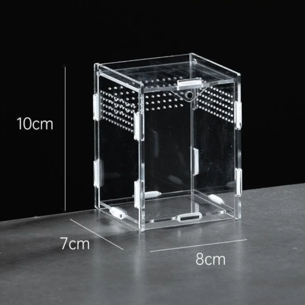 Durable Acrylic Reptile Habitat Anti-Escape Clear Lizard Breeding Box Multiple Size Arboreal Spider Feeding Case for Scorpion