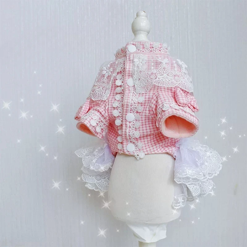 Pet Dog Cat Clothes Pink Plaid Lace Princess Dress Fleece Lined Warm Winter Cute Pet Birthday Party Photo Dress Outfit Costume