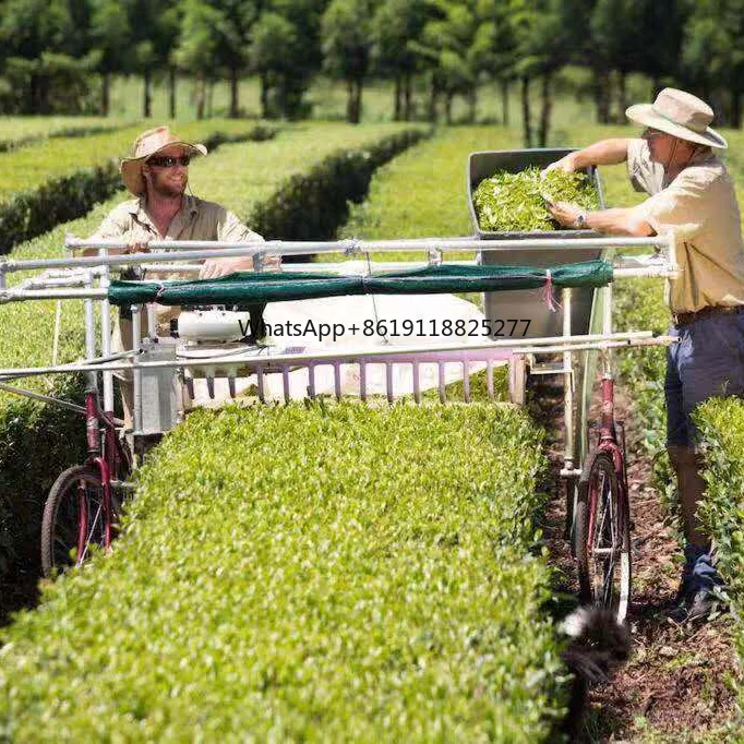 Manufacturers direct selling India's favorite 1400mm Customized Kawasaki SV140 tea Harvester