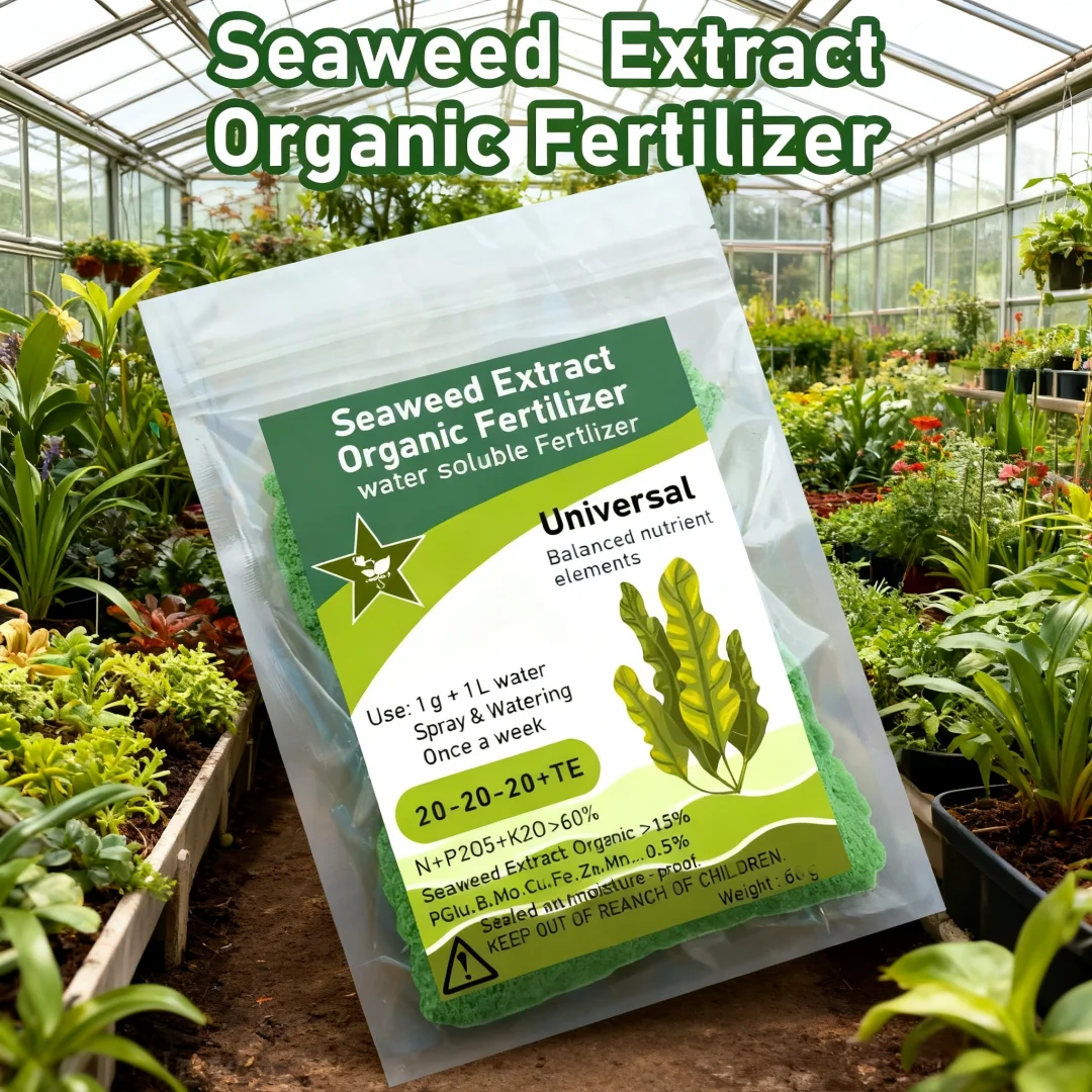 60g Seaweed Extract Organic Fertilizer Balanced Nutrient Elements In Water Soluble Fertilize 20-20-20 For Bonsai