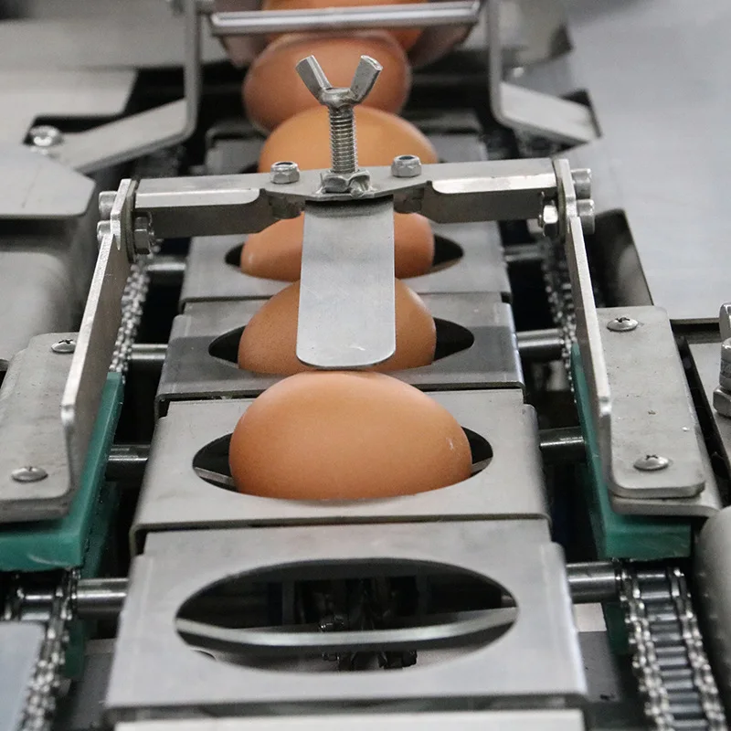 Bild 4: Automatische Eiweiß-Eigelb-Trennmaschine mit Eierschläger