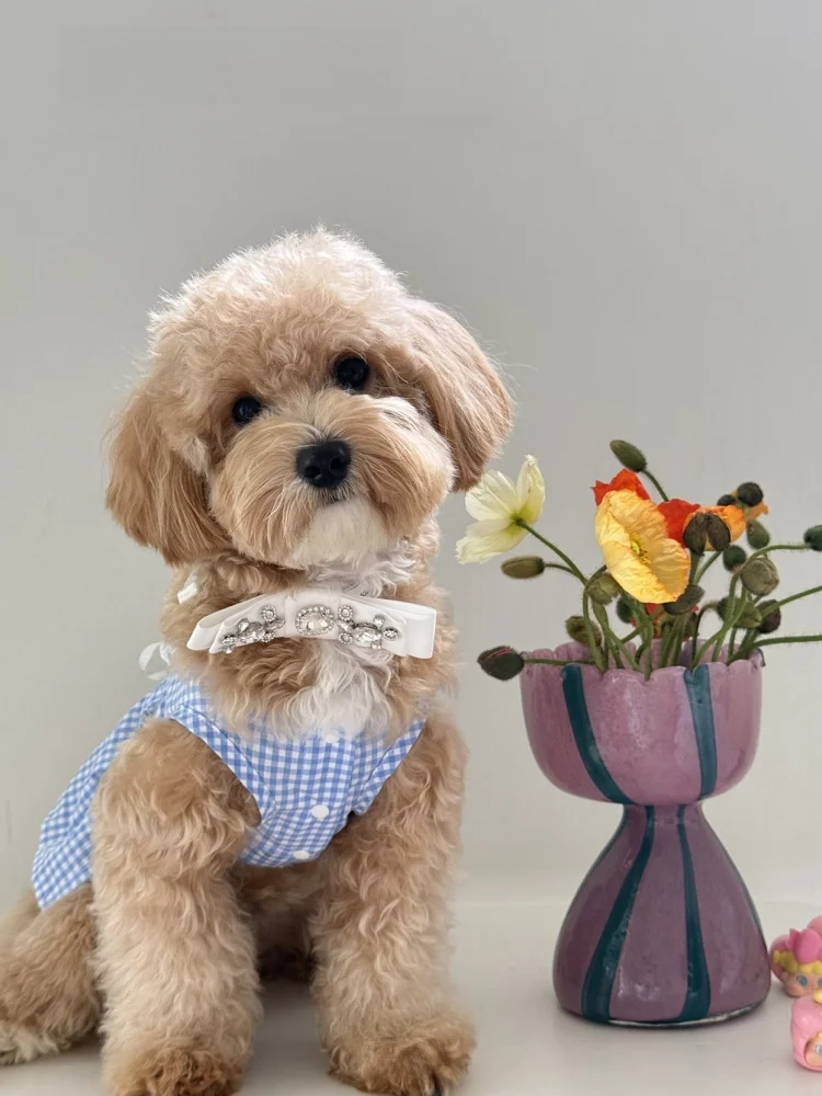 

LadorotaPet Plaid Heart Pleated Skirt Cute Vest Skirt Yorkie Chihuahua Bichon Teddy Small Dogs Warm Cotton Princ Sle