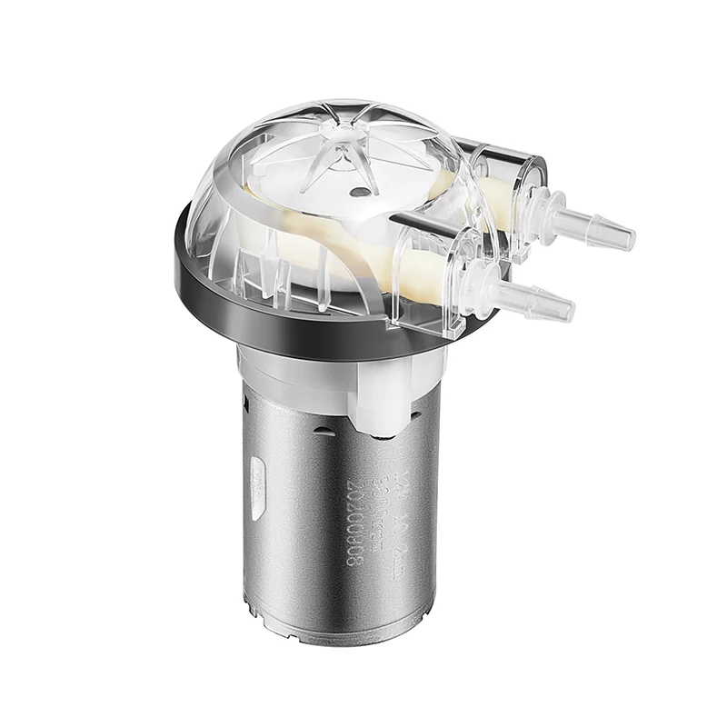PENGPU 240mLPM Micro Peristaltic Pump 12V 24V DC Brushed with BPT Tube for Liquid Transfer 1000H Long Lifetime