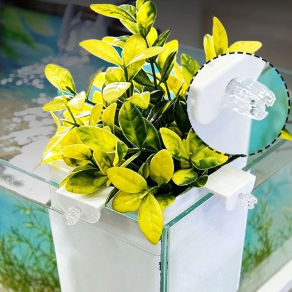 For Maximizing Tank Space Transparent Aquarium Corner Plant Pot Transparent Corner Plant Pots Space Saving Design