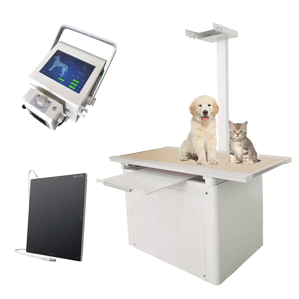 ZT-XRT-V1 Fixed Veterinary X-Ray Table Animal Hospital Bed Vet X-ray Bed