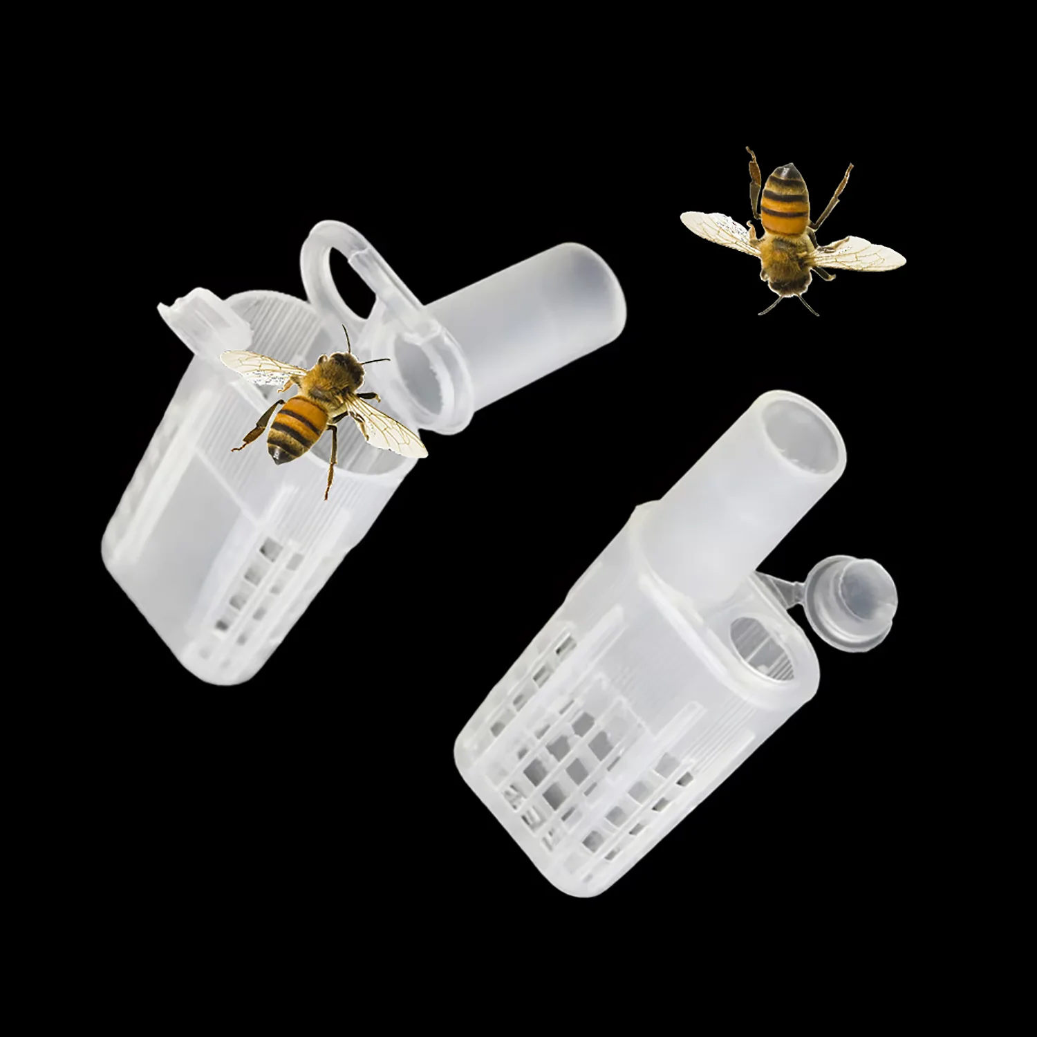 10Pcs Queen Bee Cages Beekeeping Transporting Bees Catcher Bee Moving Isolator Protection Case Beekeeper Apiculture Supplies