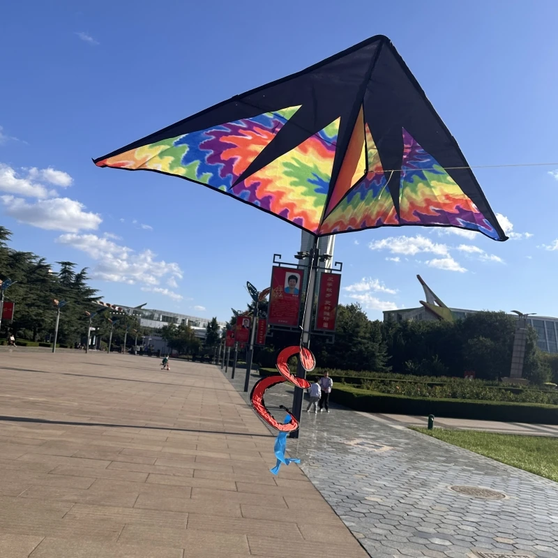 Free Shipping delta kites flying for kids kites factory windsurfing Eagle kite professional kite Power kite adult flying kites