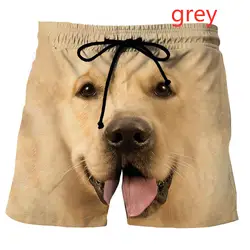 2022 New Fashion Pets Dog Casual 3D Printed Men's Shorts Summer Cute Funny Animal Shorts