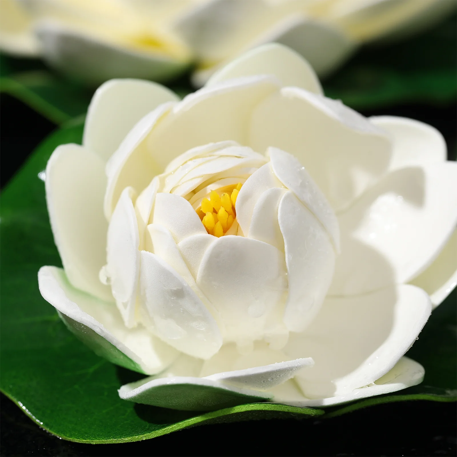 

6pcs Artificial Lotus Leaves Floating Pond Decor For Outdoor Indoor Garden Water Plants White Simulation Flowers Plastic