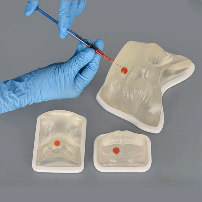 Transparentes TPE-Gesichtsmodell für Injektions-Übungsset, perfekt für Dermatologen, unverzichtbare medizinische Schulen und Ästhetik